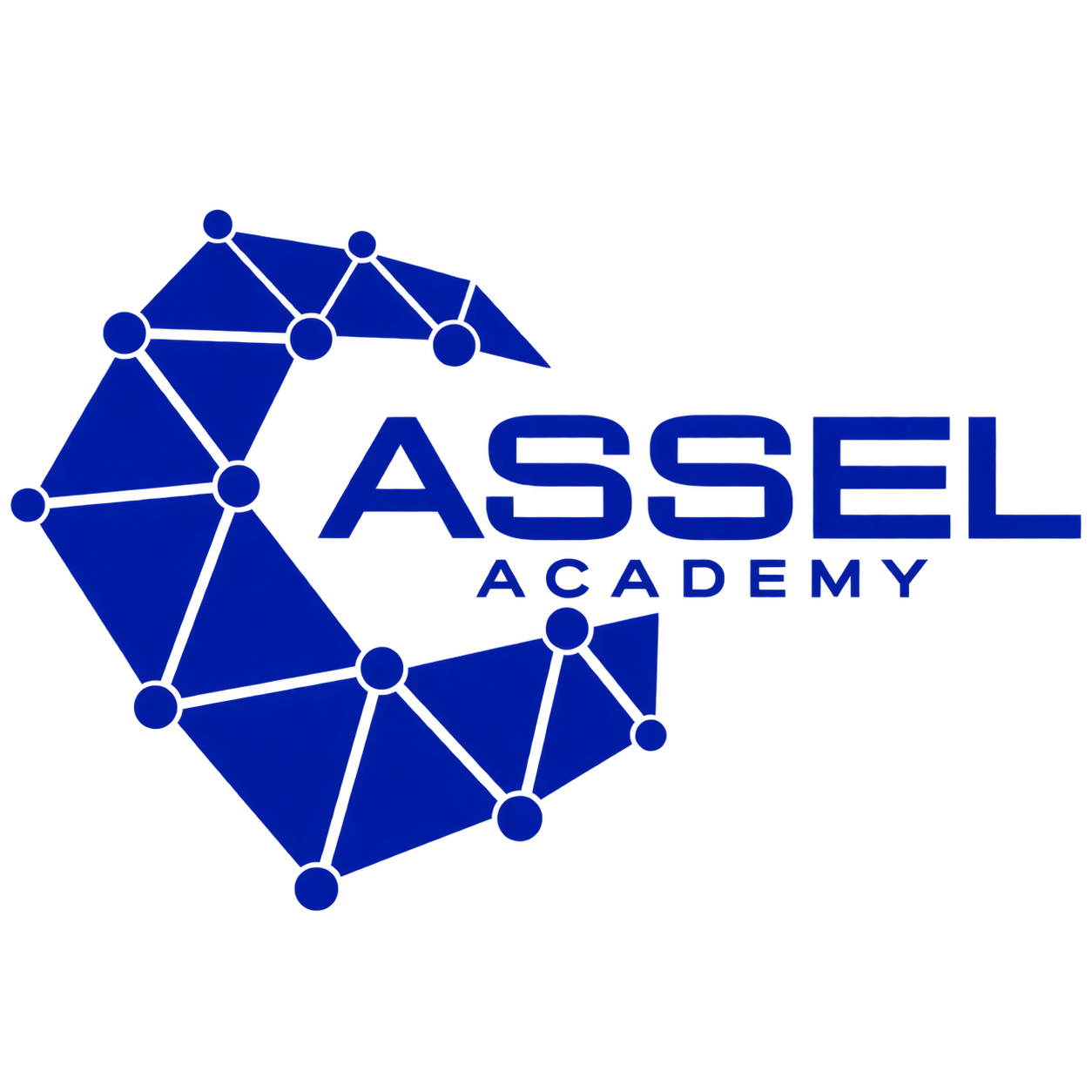 ASSEL ACADEMY